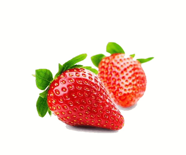 h3-product13 h3-product13
