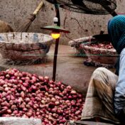 Producteur auprès de paniers de produits agricoles destinés à la collecte