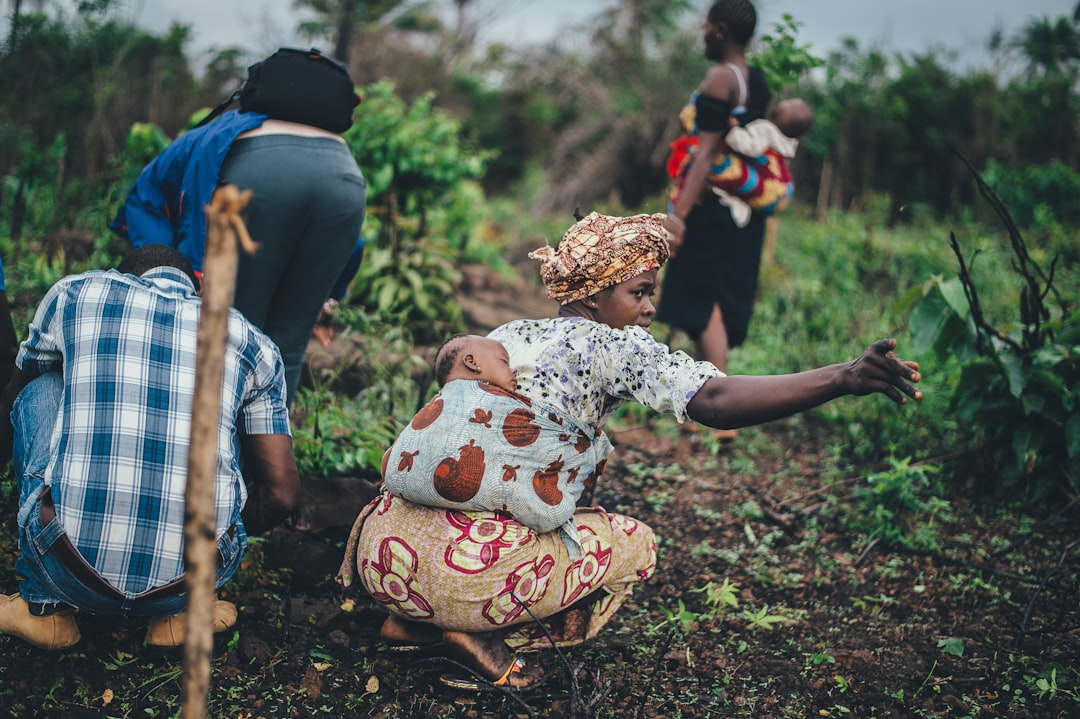 Travail agricole et récolte de manioc en Afrique de l’Ouest